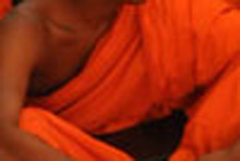 Monk climbs tree at Kollupitiya in demand of a job for his brother