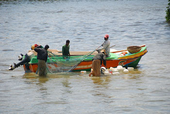 Lankan fishermen held for fishing in Indian waters