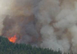 Wildfire on Knuckles, strong winds prevents dousing
