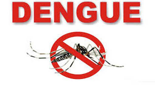 Rise in no. of Dengue patients