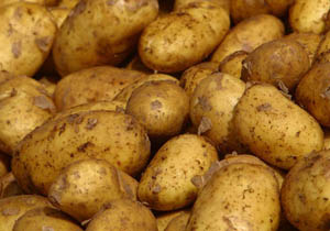 Rs. 30 tax slapped on imported potatoes