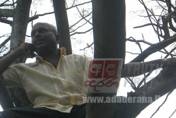 Golden Key depositor climbs tree in protest