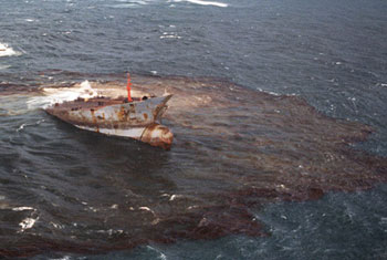 Oil from sunken ship spreading to Negombo shores - DMC