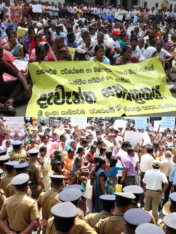 Agriculture research officers launch protest...