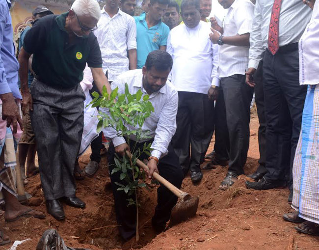 VIDEO: Rishard plants trees in Wilpattu... 