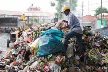 MCs not to collect unsorted waste from Tuesday