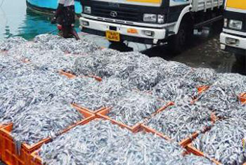 Sri Lanka says no to Indian fishing proposal
