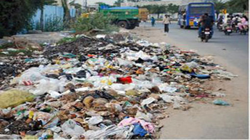 Committee to review implementation of polythene ban