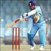 India amass 260 against Pakistan