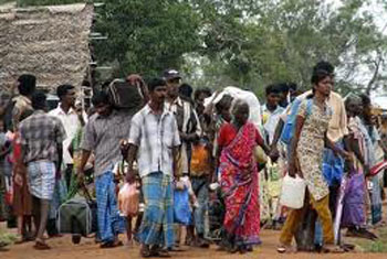 Study favours Indian citizenship for Sri Lankan refugees in TN