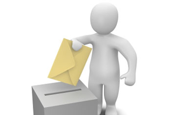 LG polls postal voting peaceful - monitors