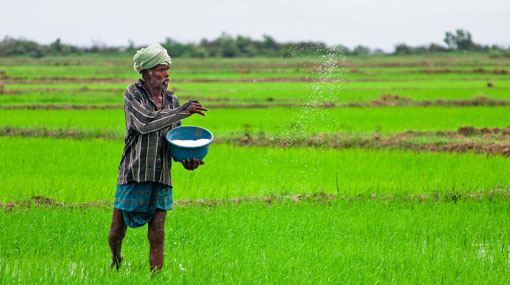 Maximum retail price for fertilizer with immediate effect