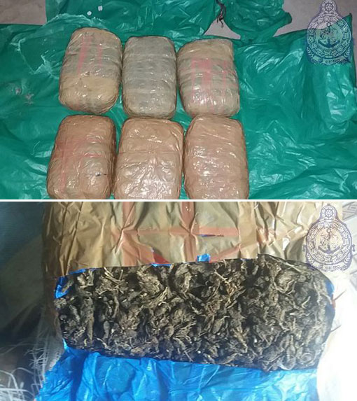 Man and woman arrested with 14.3 kg of Kerala Ganja