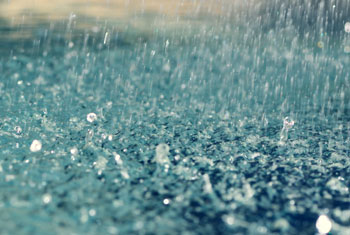 Showers in Western province - Met. Department