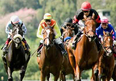 Horse Racing kicks-off the season with style in Nuwara Eliya