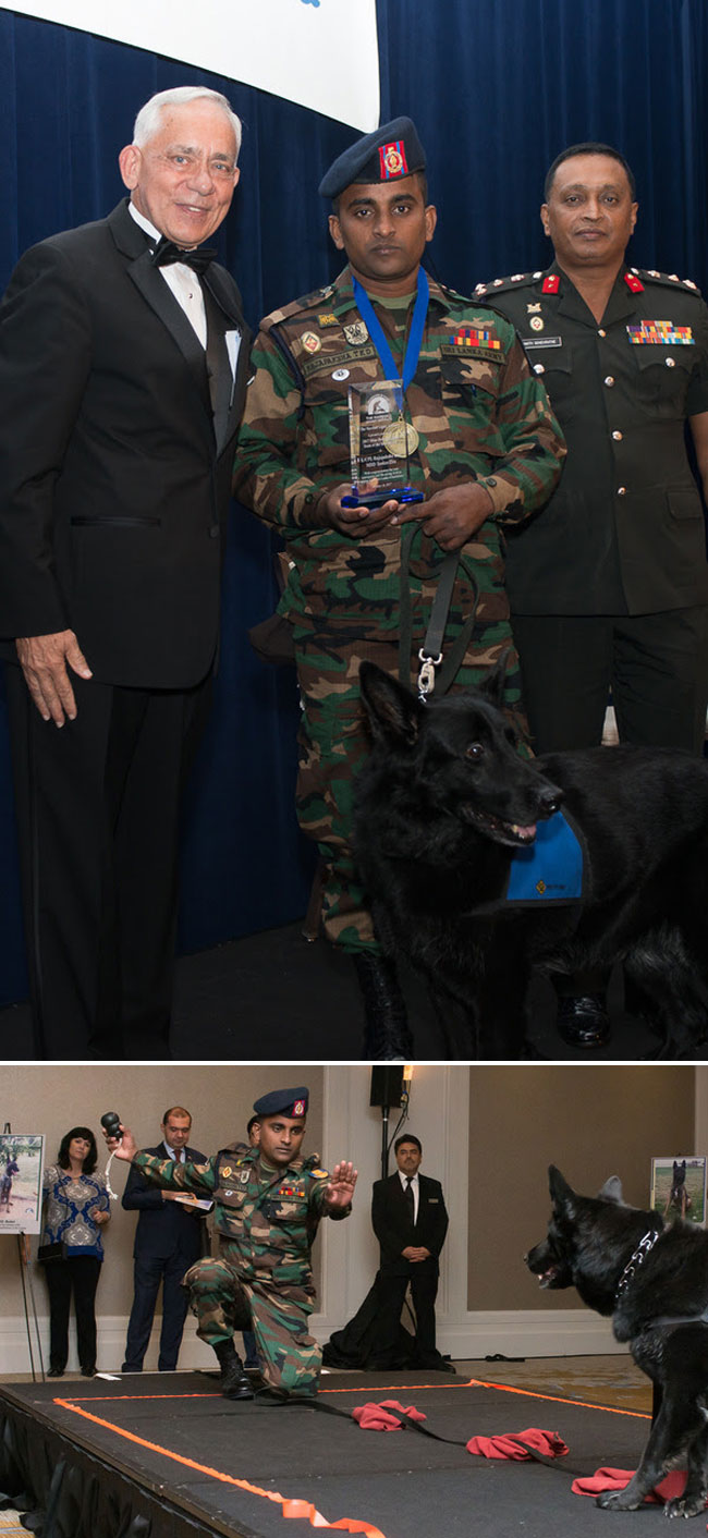 Sri Lankan mine detection dog team honoured for second consecutive year