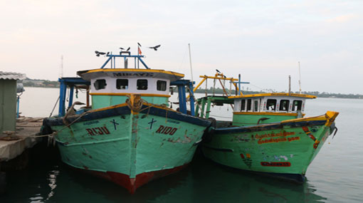 8 Indian fishermen detained by SL Navy 