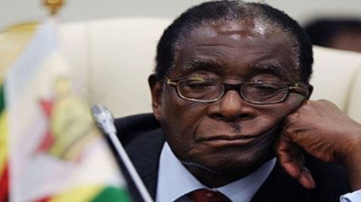 Zimbabwe ruling party sacks Robert Mugabe 