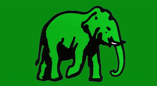 UNP to contest LG polls as United National Front