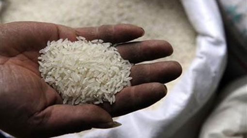 Govt to import 100,000 MT rice per month