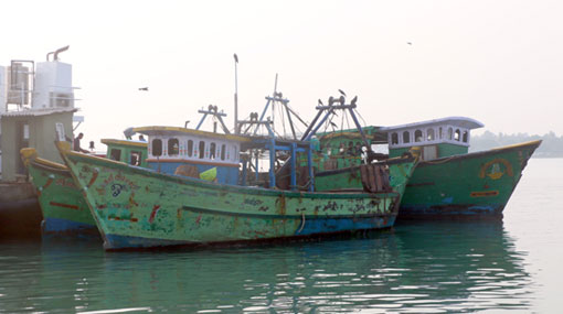 Navy apprehends 16 Indian fishermen
