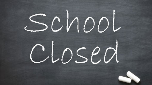 Schools closed on Friday due to LG polls