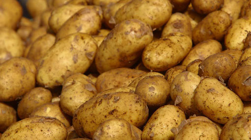 Special commodity levy on potatoes increased