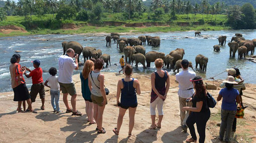 Sri Lanka confident of high tourist arrivals despite travel advisories