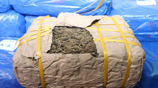 Kerala Ganja worth Rs 25 million seized; 2 arrested 