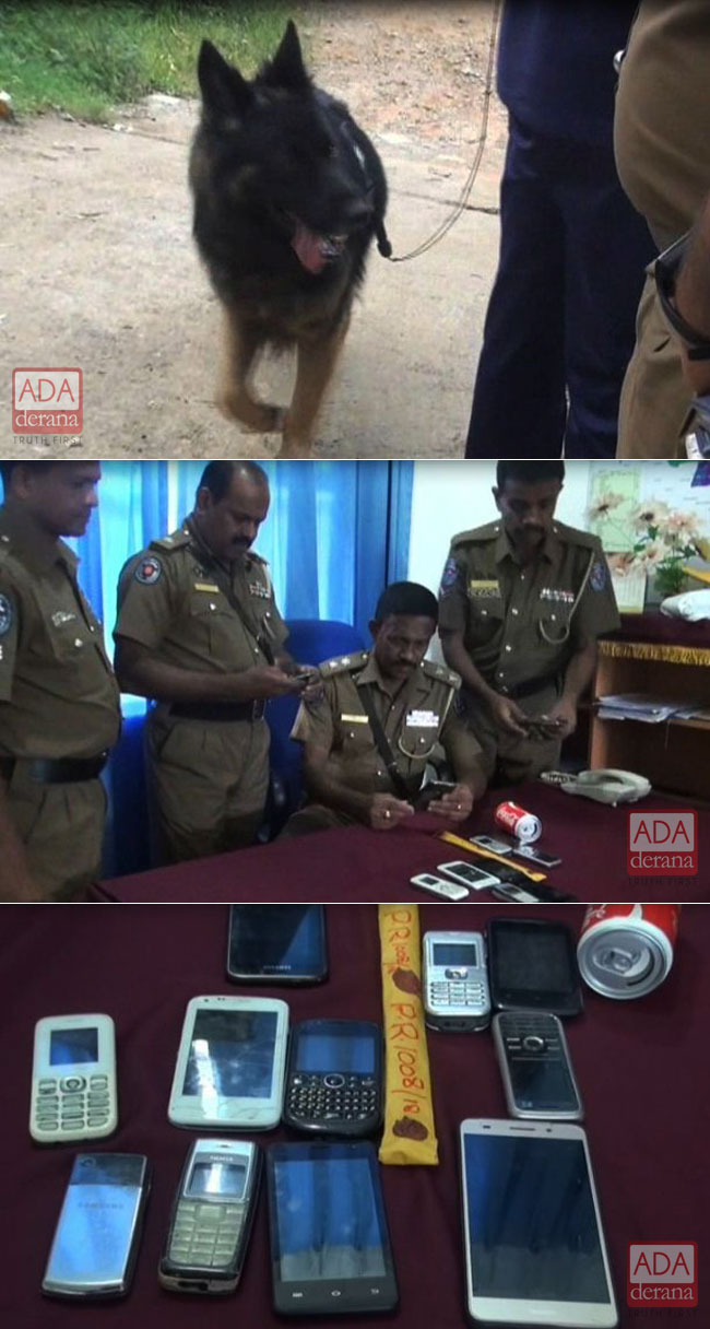 Police dog helps nab students who stole 10 mobile phones from Vice Principals office