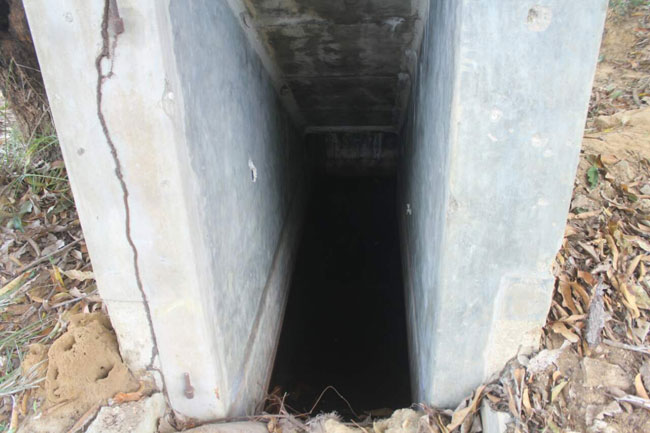 Underground LTTE bunker discovered in Palai