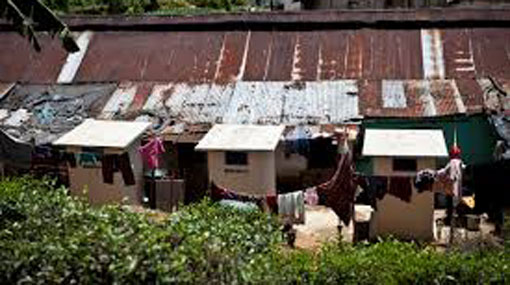 Darawala estate housing line at risk of collapsing