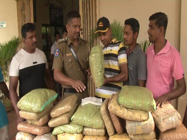 Three arrested with Kerala Cannabis worth nearly Rs 10 million