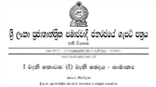 Gazette on amended duties and functions under new ministries published