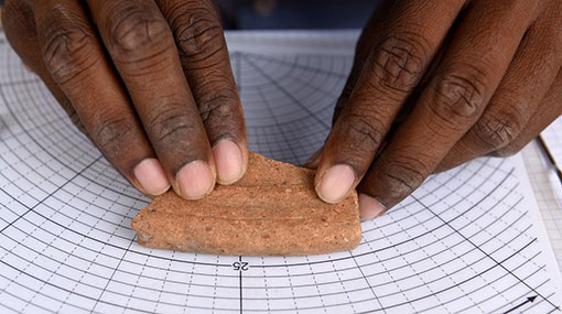 Pune students deciphering prehistoric Sri Lankan ruins