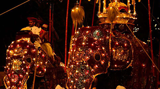 Kandy Esala Perahera to commence on August 12