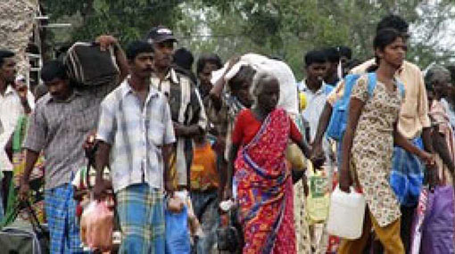 Over 3000 refugees have left for Sri Lanka since 2015: TN