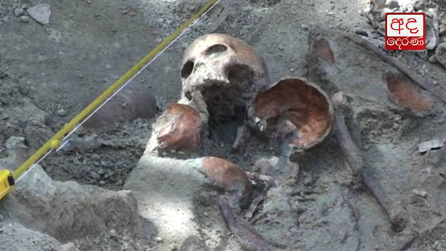 53 human skeletons unearthed from Mannar mass grave