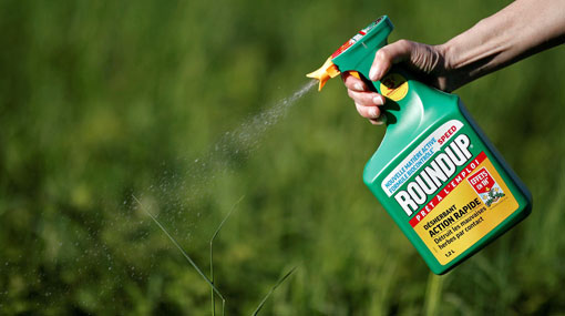 Monsanto ordered to pay $289m to US glyphosate cancer victim