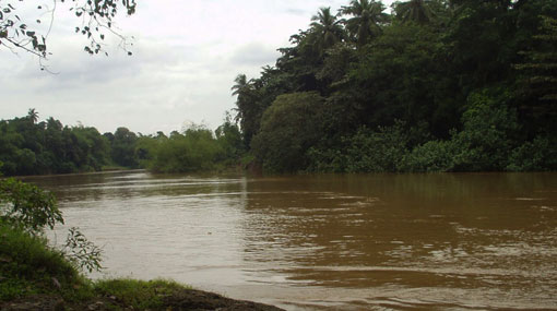 Public cautioned as water level of Kelani River rises
