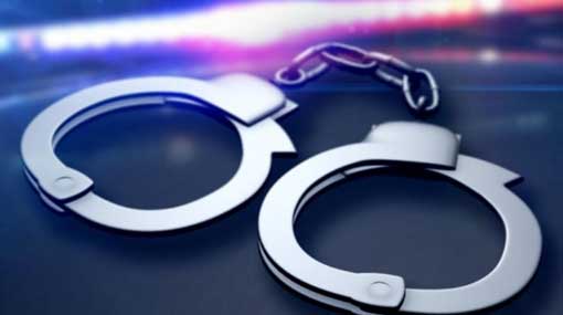 Eight connected to organized crimes arrested