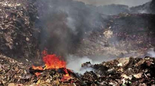 Fire breaks out at Bloemendhal garbage dump
