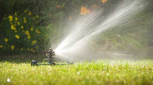 Use water sparingly during this dry weather  Water Board