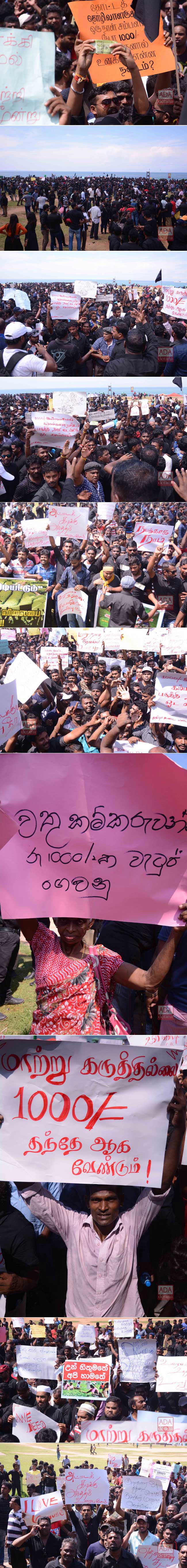 1500 estate workers protest in Colombo demanding wage revision