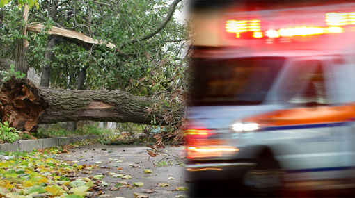 Two dead, 3 injured after tree falls on three-wheeler