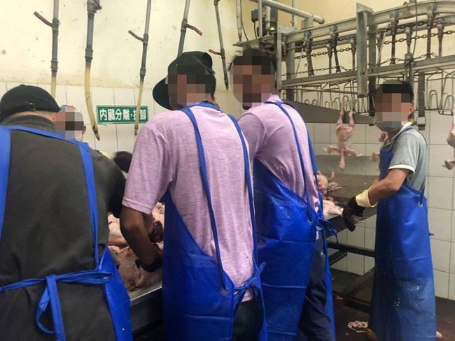 Over 40 Sri Lankan Students Duped Into Working In Taiwan Slaughterhouses