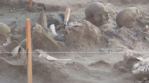 Skeletal remains of 266 people found at Mannar mass grave