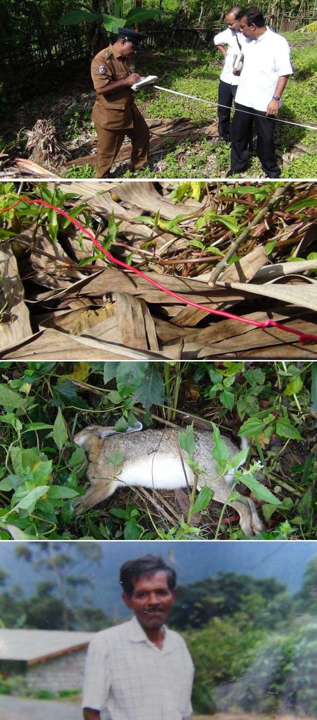 PICTURES: Electric animal trap kills one in Dimbula 