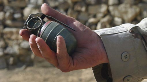 Live grenades found washed up on shore