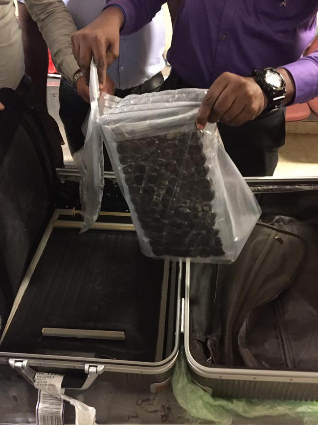 PNB arrests Indian with Hashish at BIA